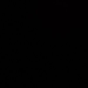 Meet your Posher, Mariah